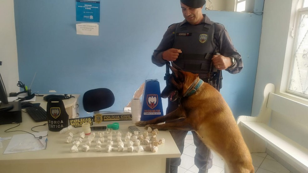 Foto: Polícia Militar/Divulgação