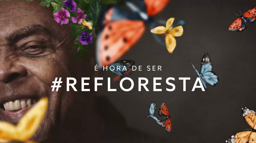 Foto: Instituto Terra/divulgação