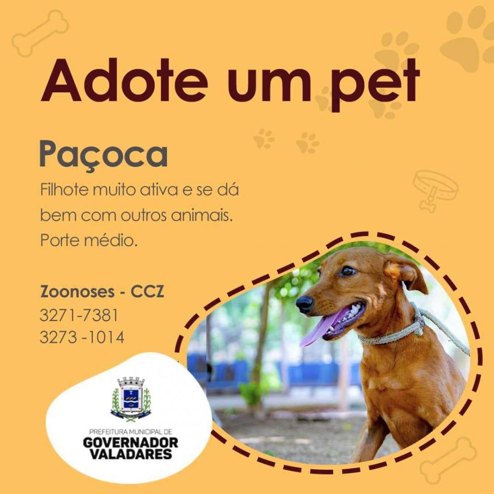 Divulgação/Prefeitura