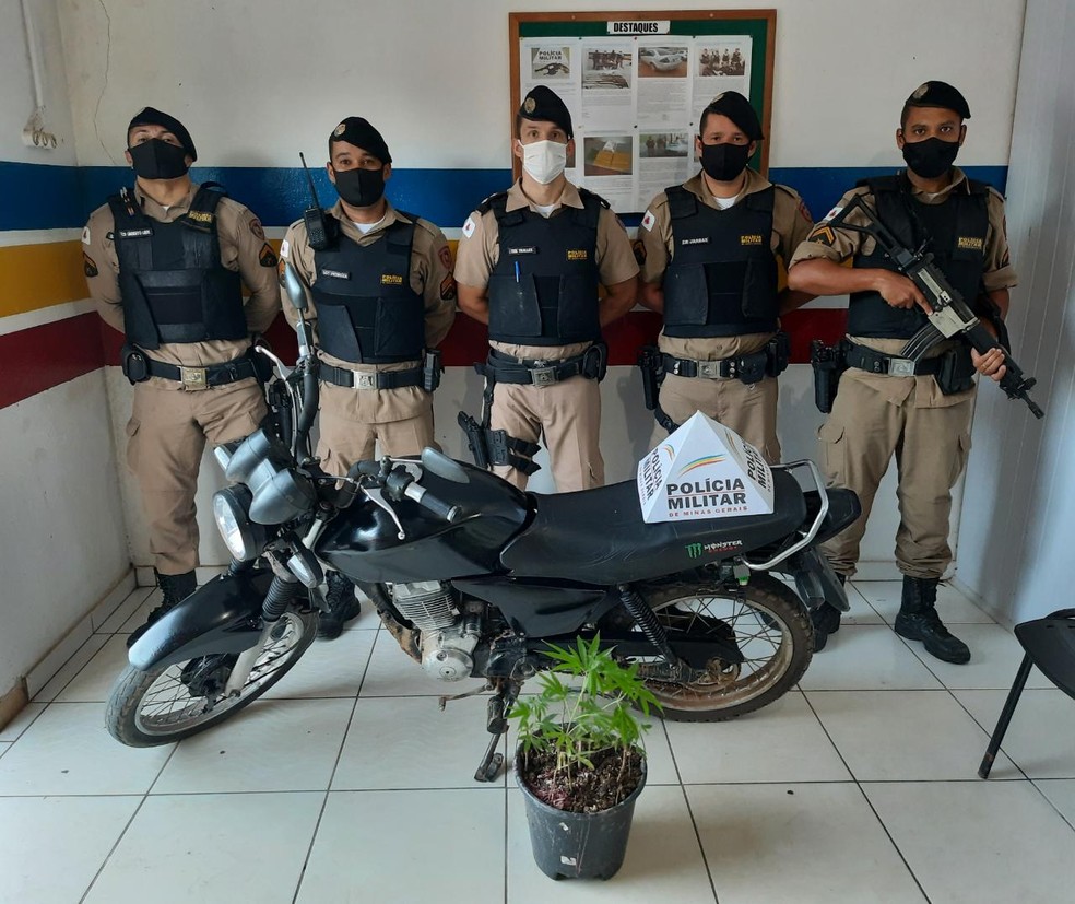 Foto: Polícia Militar/Divulgação