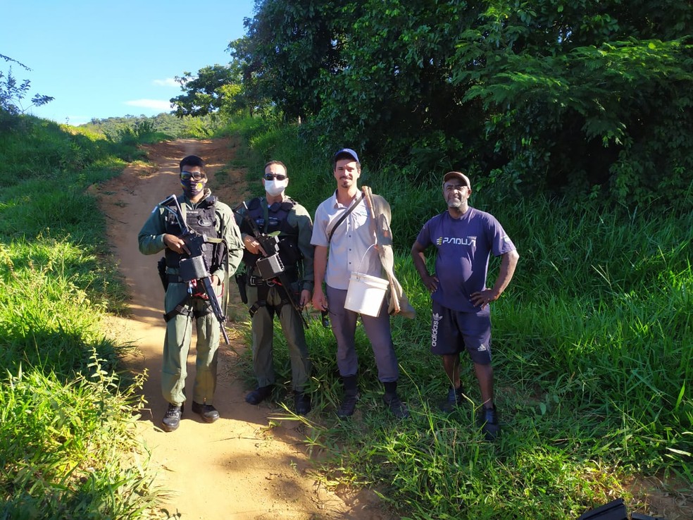 Foto: Polícia Militar/Divulgação