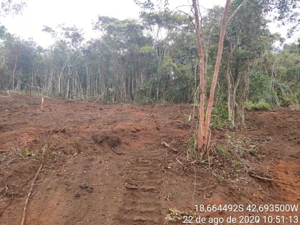 Polícia Militar de Meio Ambiente/Divulgação 