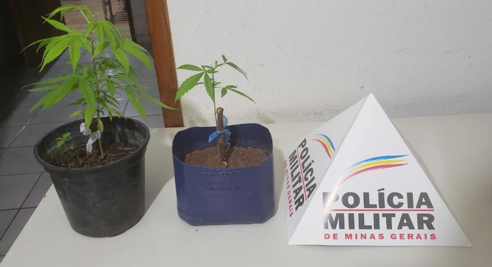 Polícia Militar/Divulgação 