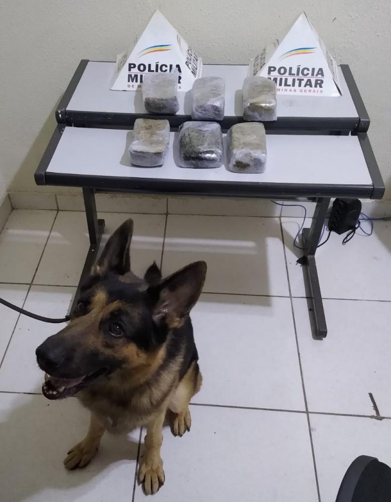 Polícia Militar/Divulgação 