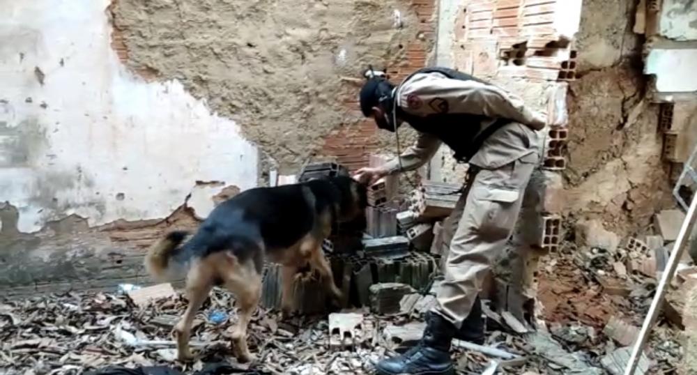 Polícia Civil/Divulgação 