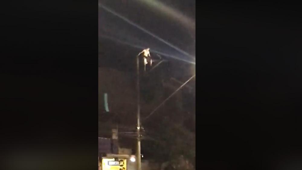 Foto: Divulgação Internet