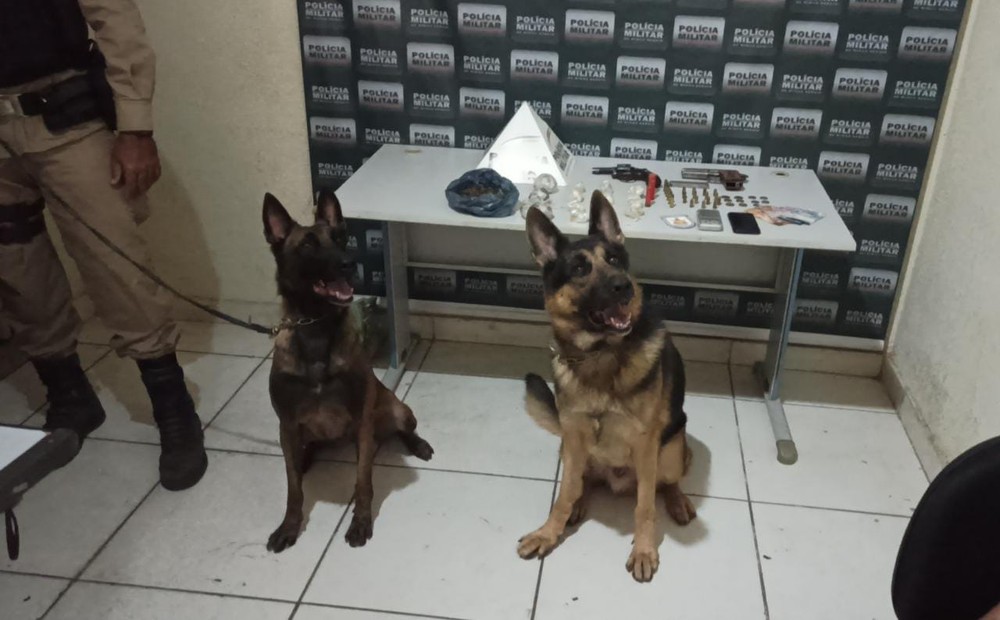 Foto: Polícia Militar/Divulgação
