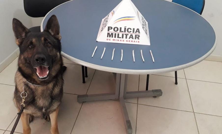 Foto: Polícia Militar/Divulgação
